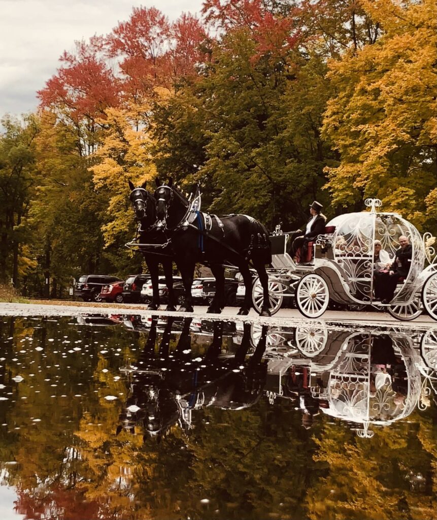 Cinderella Carriage LLC