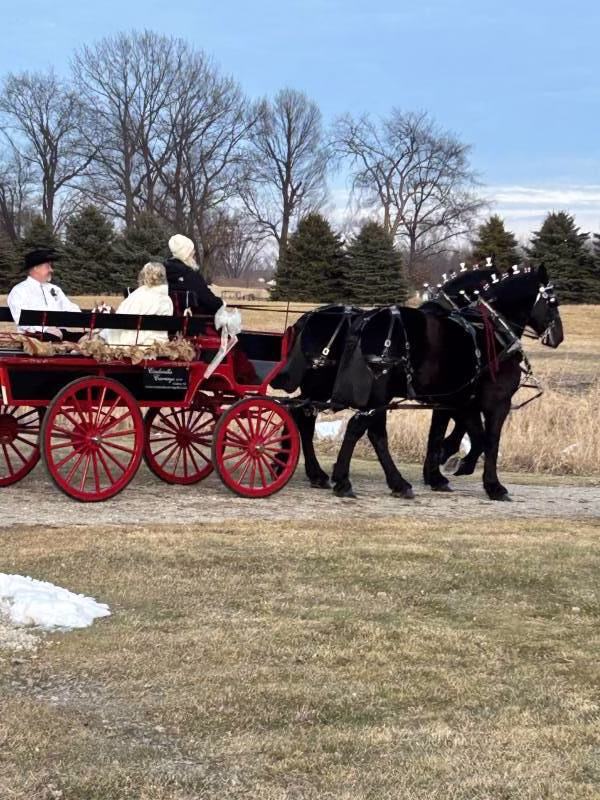 1192224-50203-l-56483AGEma7Y