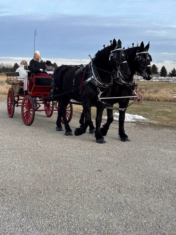 1192225-50203-l-56483gaPUpUM