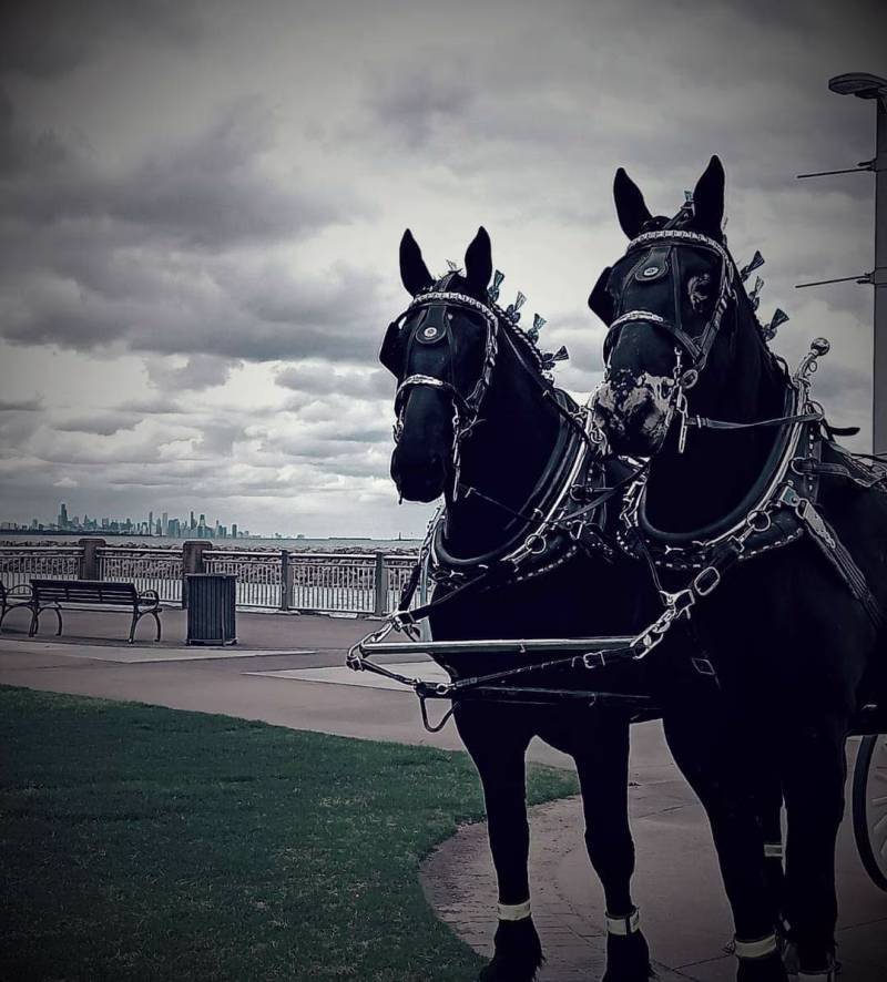 1192226-50203-l-56483YgAZyhy