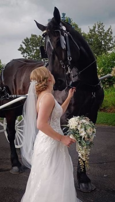 1192229-50203-l-16483UDyGeHy