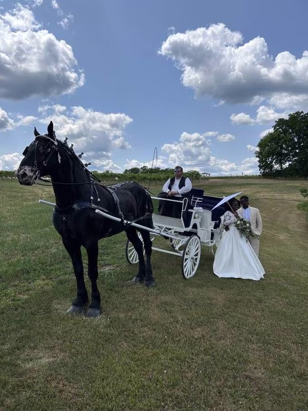 1192230-50203-l-56483eXUTy7U