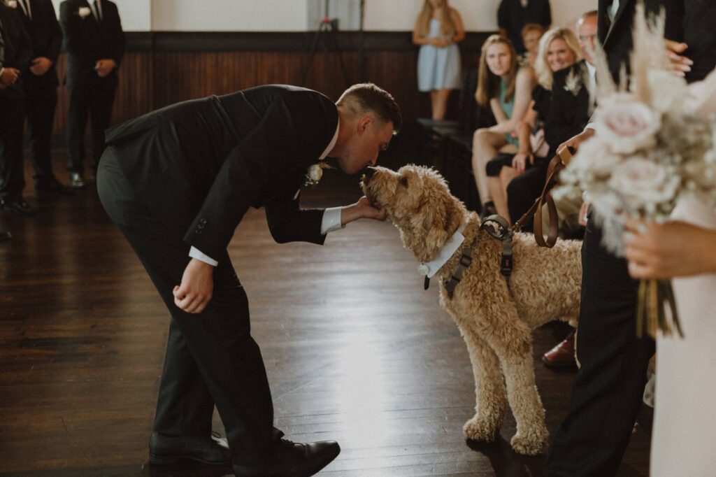 5 IDEAS TO INCLUDE YOUR PET ON YOUR WEDDING DAY