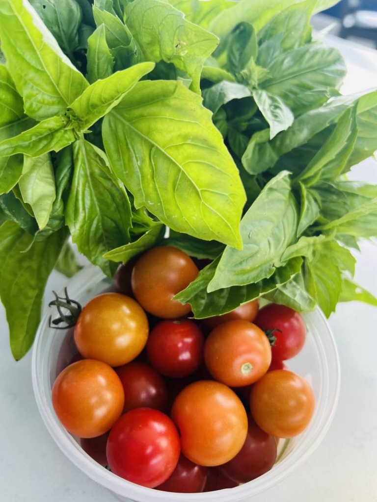 1224856-51089-l-564837e4U2Es