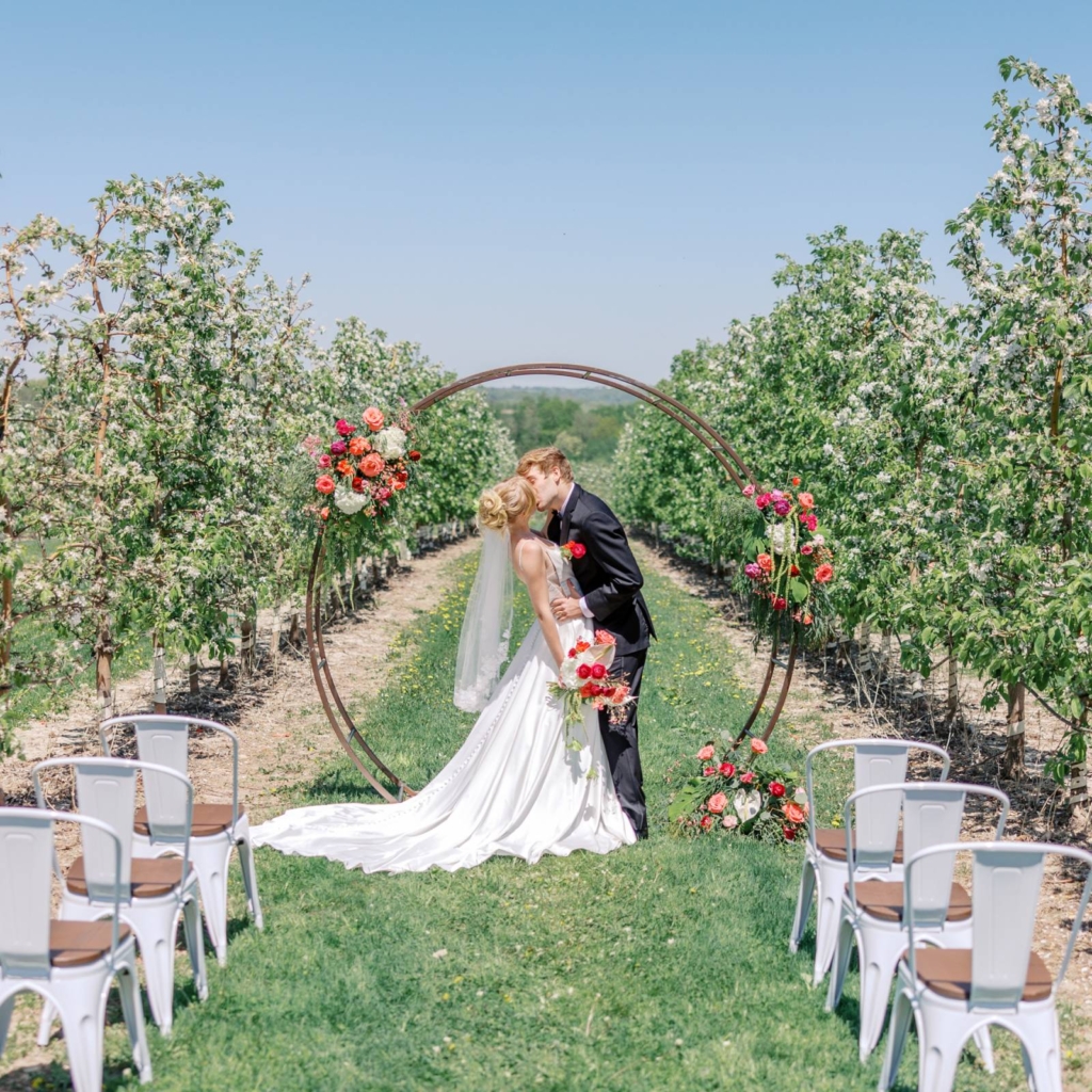 Bloom & Sip: An Upscale Orchard Picnic Editorial at the Barn on South Ridge