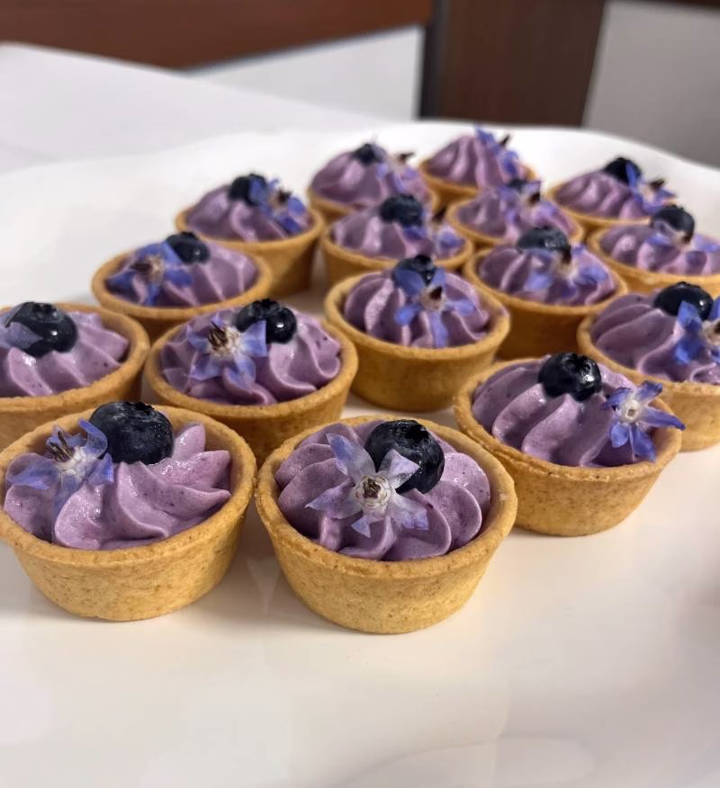 1237796-51633-l-56483tUdUqEg