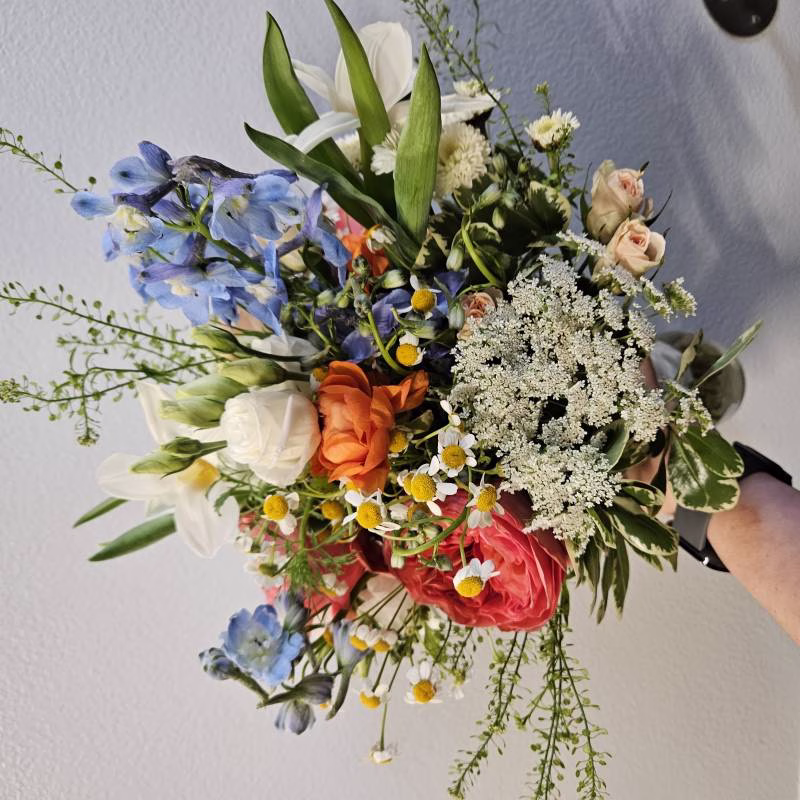 1238434-51659-l-56483QAVUhUq